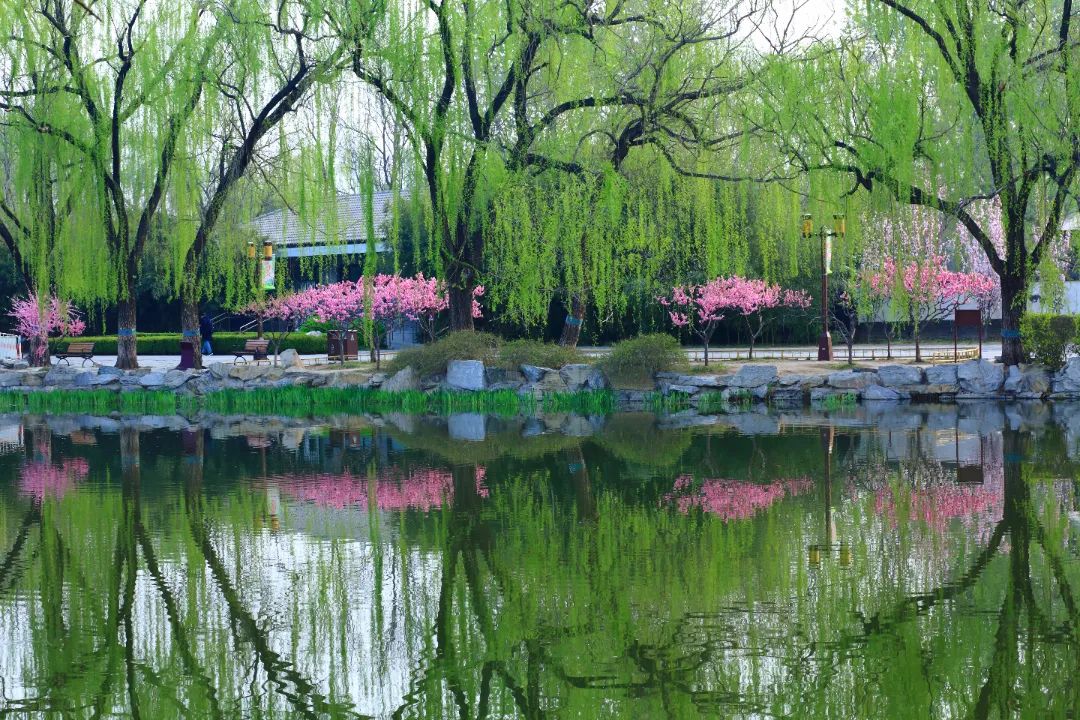 1681-101-陈琦-(镜像清明)-0-20250405170323377589780.JPG