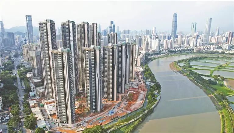 深圳特区报记者 杨浩翰 图.jpeg