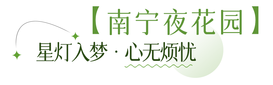 南宁夜花园.png