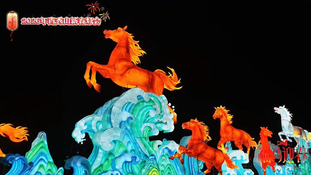 灯会视频 1 (9).gif