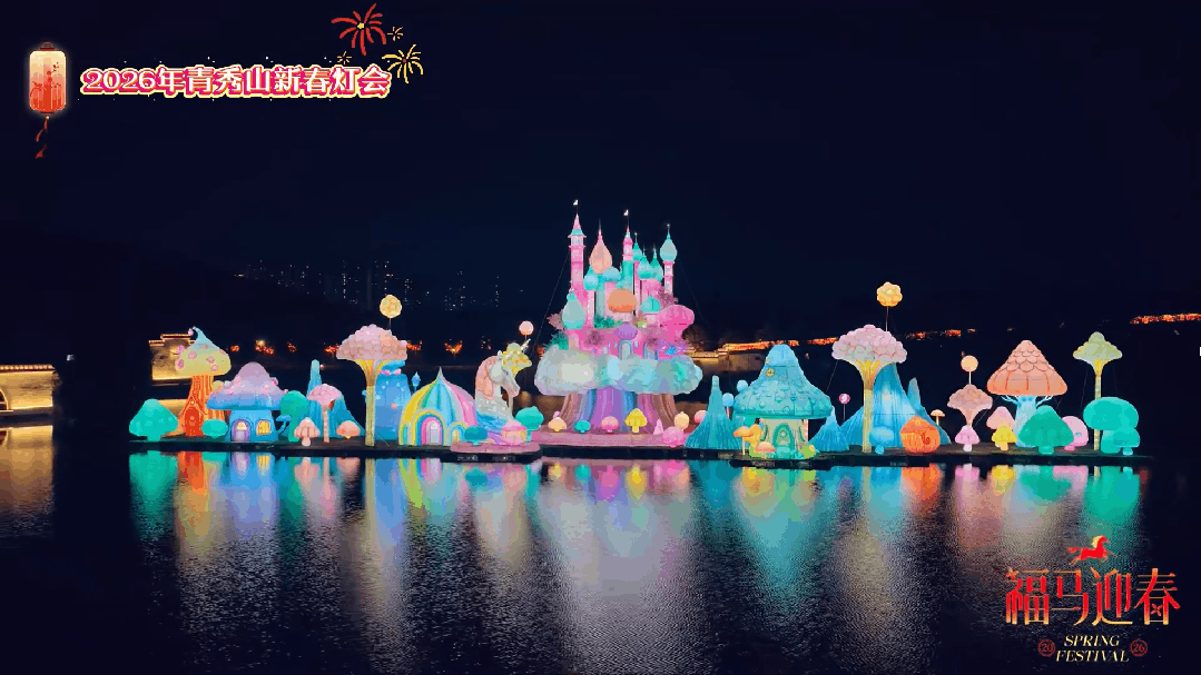 灯会视频 1 (10).gif