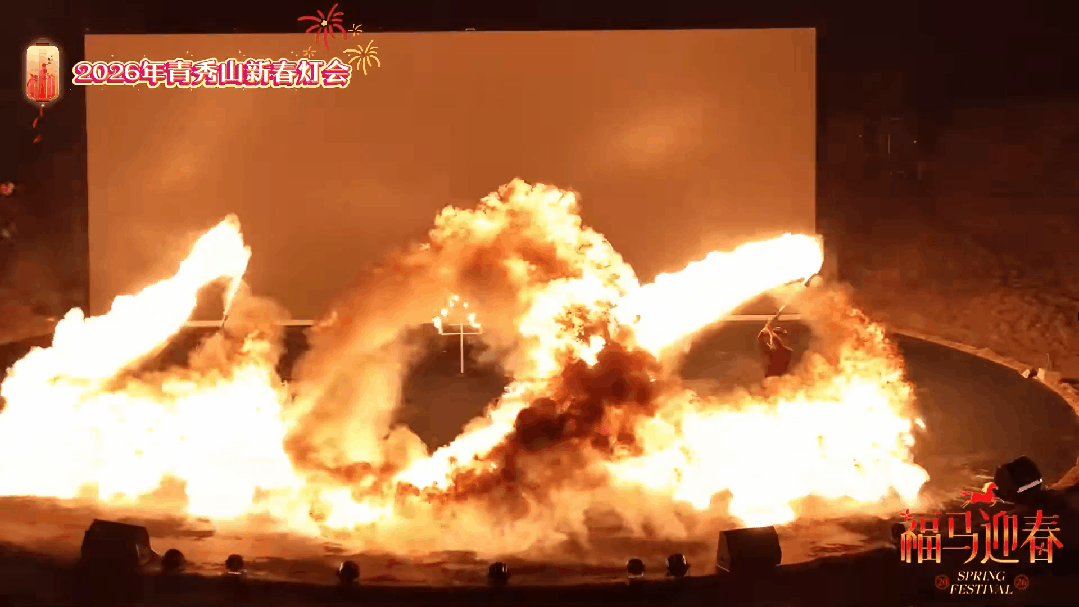 灯会视频 1 (4).gif