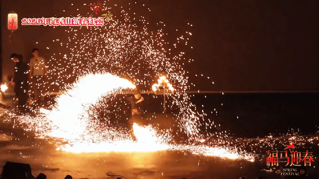 灯会视频 1 (6).gif