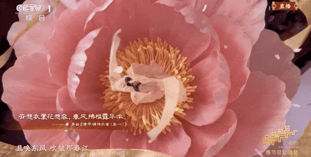 来源：央视新闻