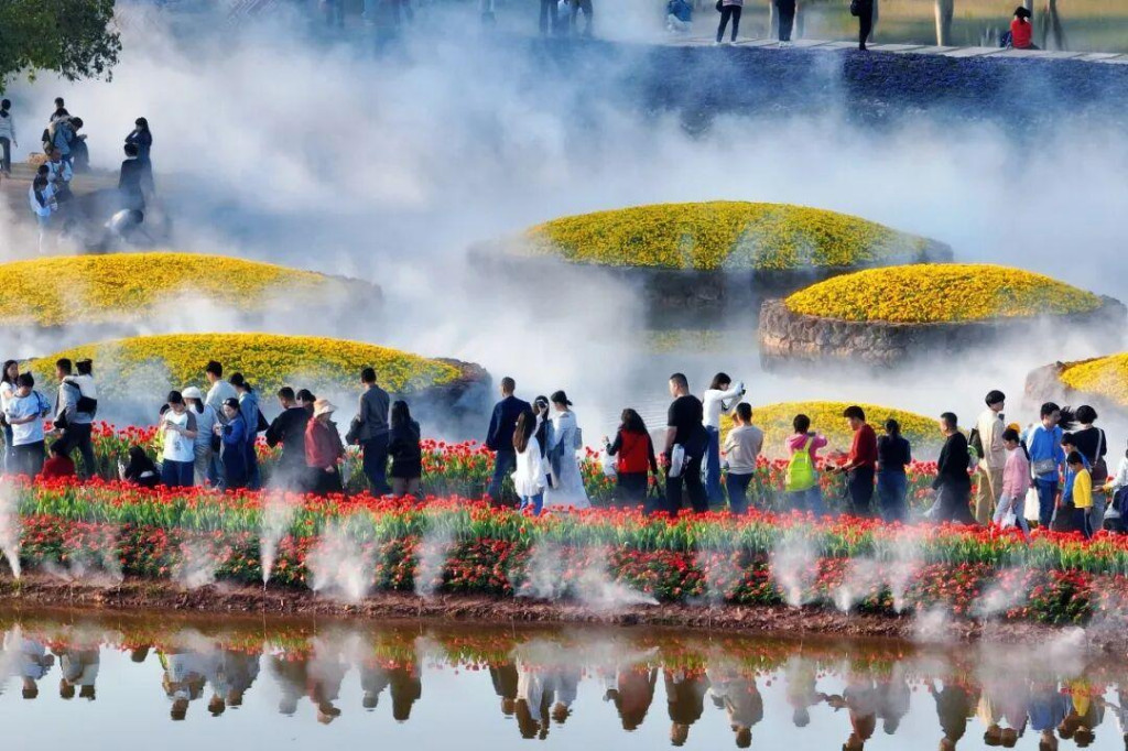 灯映锦绣，花漫青山｜青秀山新春赏花观灯指南