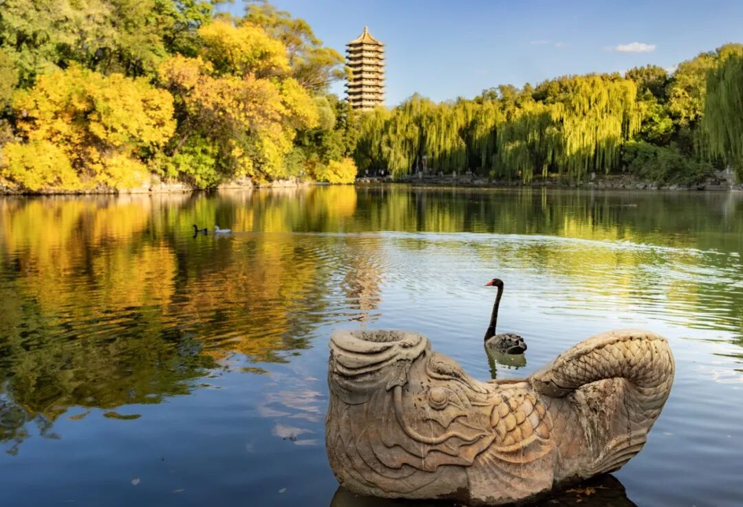 李瑞鹏 初秋 -3.jpg