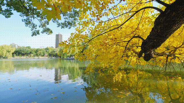 李嘉易-初秋-动图 (32).gif