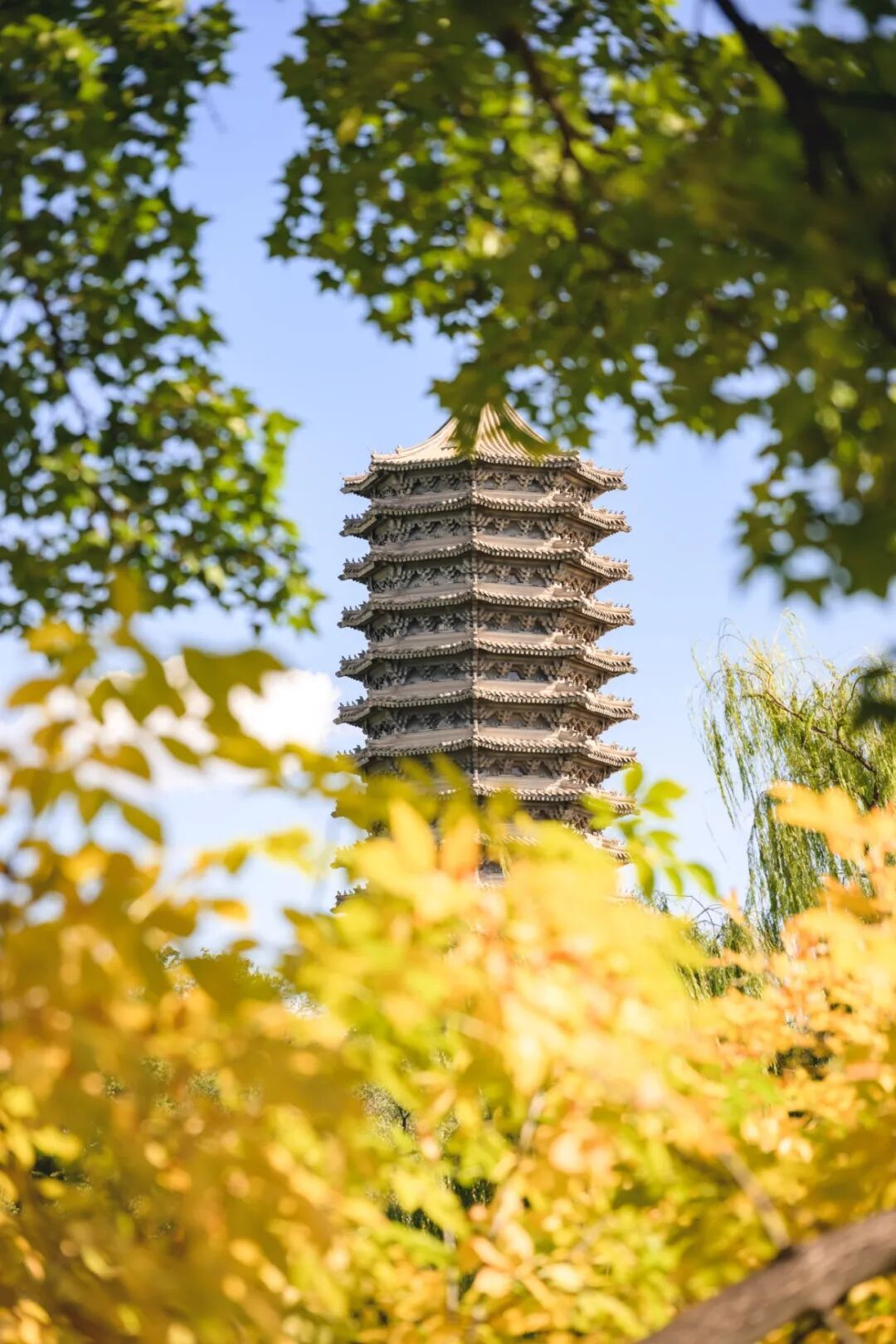 20261013秋景-姬浩宇-28.jpg