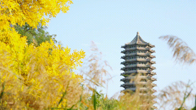 李嘉易-初秋-动图 (34).gif